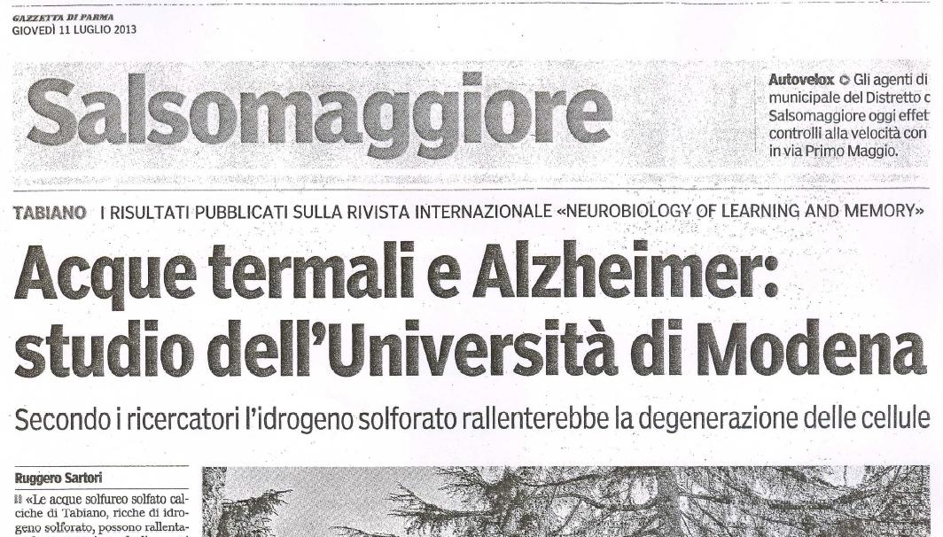 Gazzetta Di Parma Acque Termali E Alzheimer